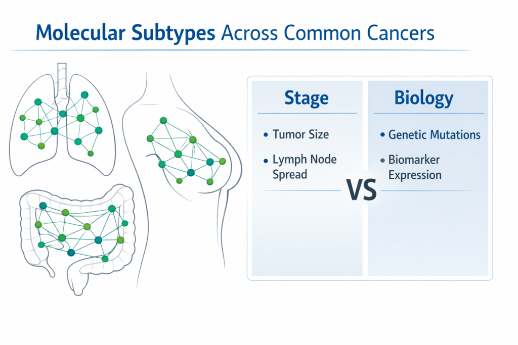 Illustration showing molecular subtypes across lung, breast, and colon cancers influencing targeted therapy decisions