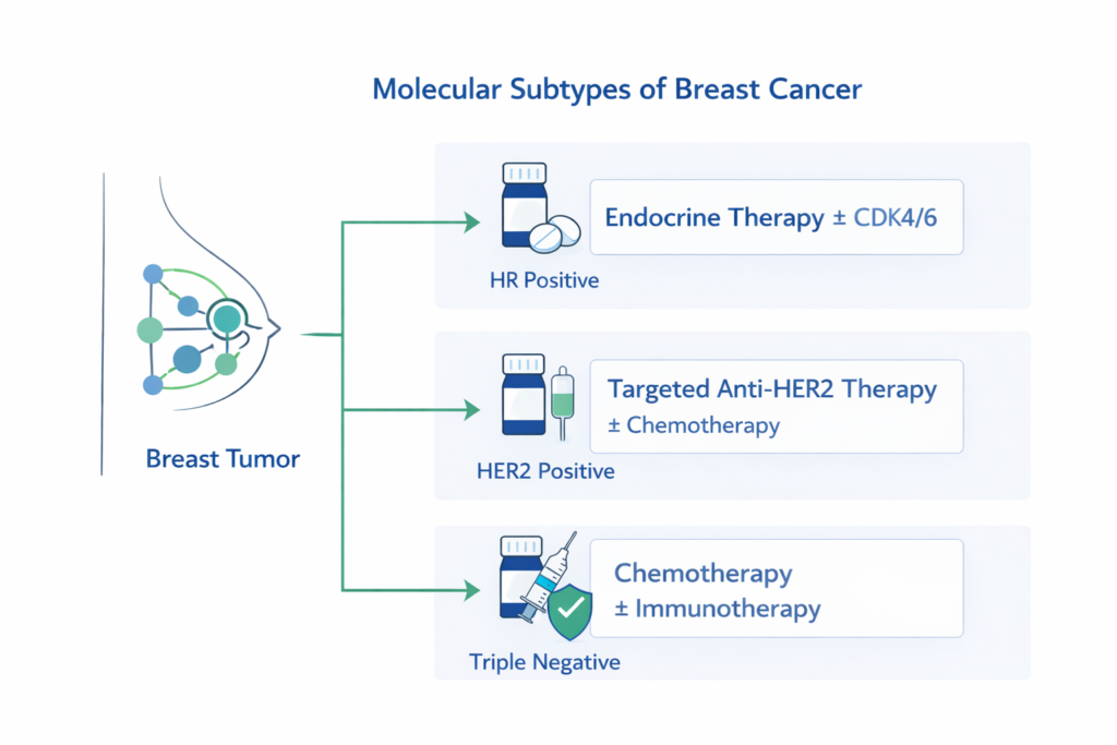 Molecular subtypes of breast cancer pathway showing HR positive HER2 positive and triple negative branches leading to subtype-specific treatments
